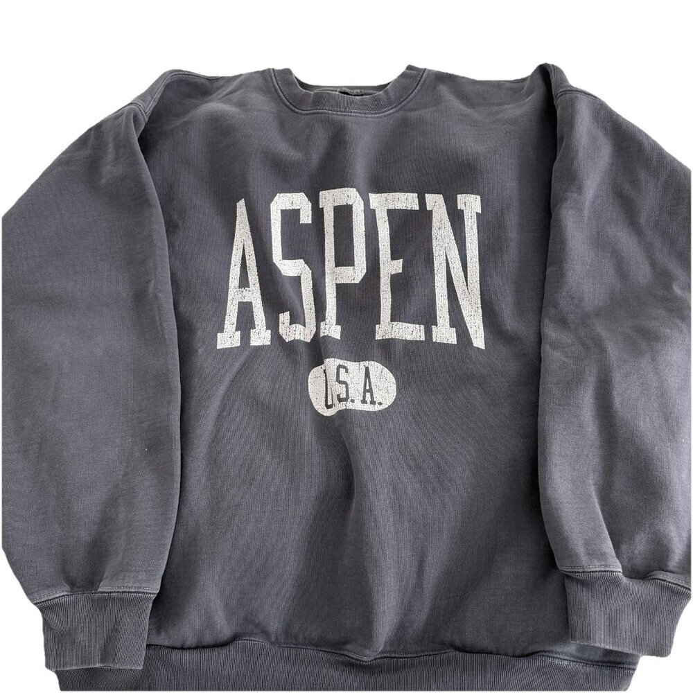 Brandy Melville John Galt Blue Aspen Sweatshirt OS
